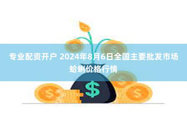 专业配资开户 2024年8月6日全国主要批发市场蛤蜊价格行情