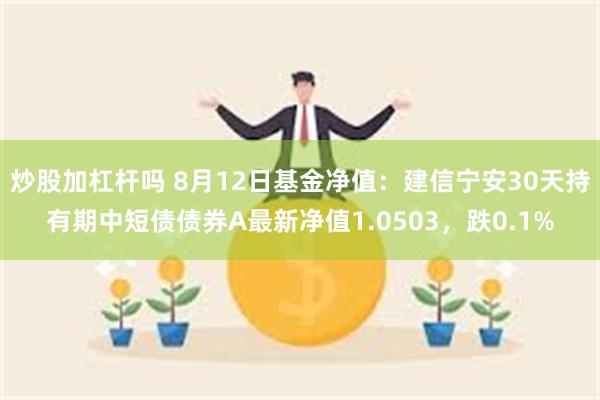 炒股加杠杆吗 8月12日基金净值：建信宁安30天持有期中短债债券A最新净值1.0503，跌0.1%