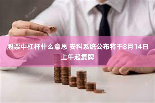 股票中杠杆什么意思 安科系统公布将于8月14日上午起复牌