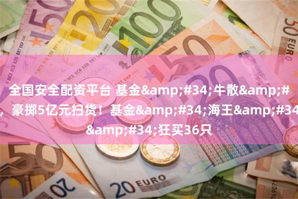 全国安全配资平台 基金&#34;牛散&#34;大曝光，豪掷5亿元扫货！基金&#34;海王&#34;狂买36只