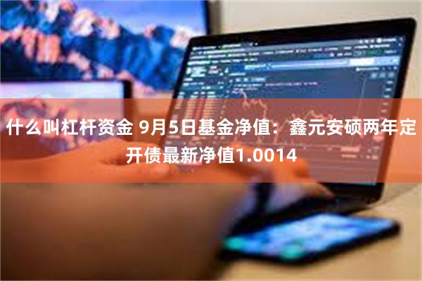 什么叫杠杆资金 9月5日基金净值：鑫元安硕两年定开债最新净值1.0014