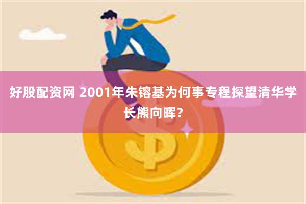 好股配资网 2001年朱镕基为何事专程探望清华学长熊向晖？