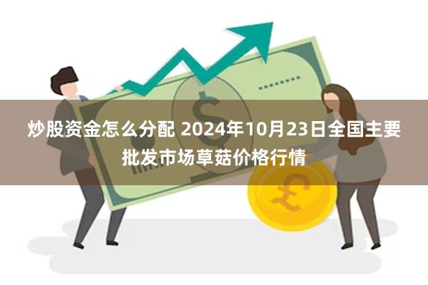 炒股资金怎么分配 2024年10月23日全国主要批发市场草菇价格行情