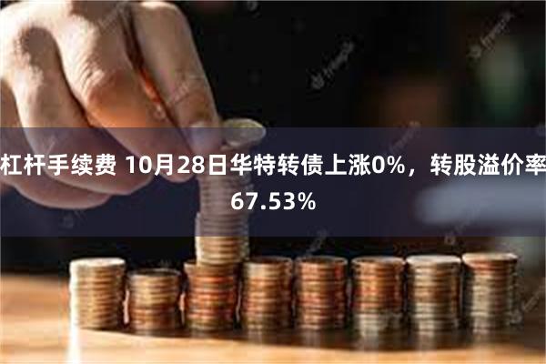 杠杆手续费 10月28日华特转债上涨0%，转股溢价率67.53%