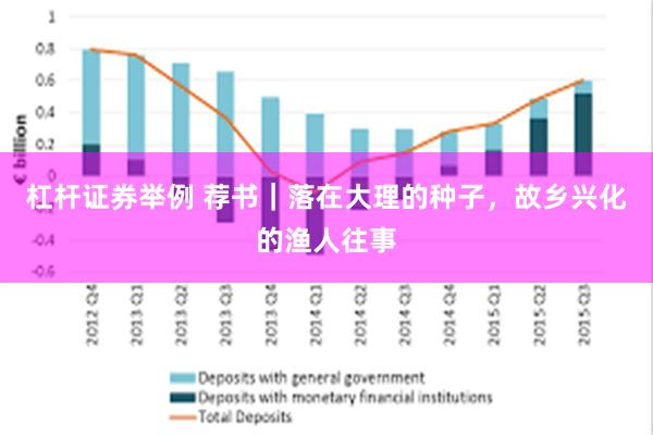 杠杆证券举例 荐书｜落在大理的种子，故乡兴化的渔人往事