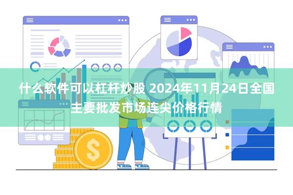 什么软件可以杠杆炒股 2024年11月24日全国主要批发市场连尖价格行情