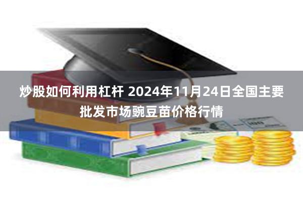 炒股如何利用杠杆 2024年11月24日全国主要批发市场豌豆苗价格行情