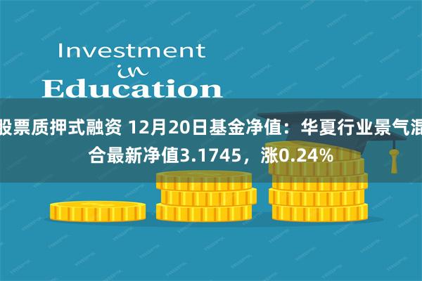 股票质押式融资 12月20日基金净值：华夏行业景气混合最新净值3.1745，涨0.24%